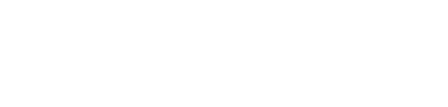 Success Life IT